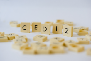 CeDIZ